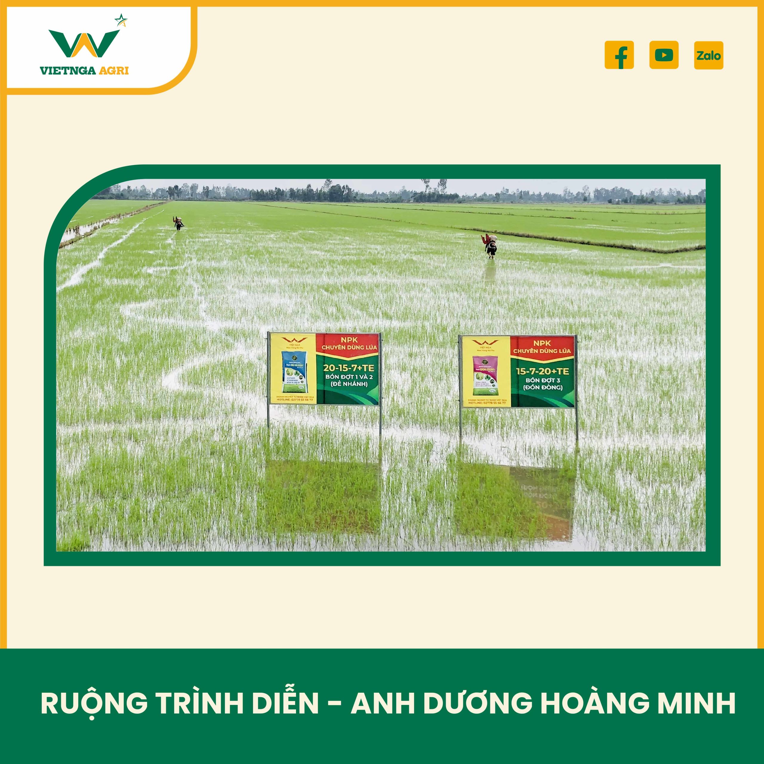 Mô hình phân bón chuyên dùng cho lúa