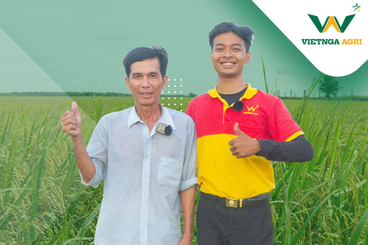 nông dân Hoàng dùng phân bón chuyên dùng