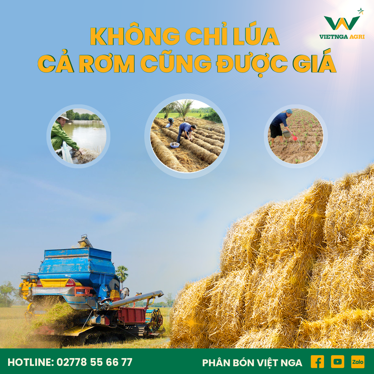 không chỉ lúa, cả rơm rạ cũng được giá