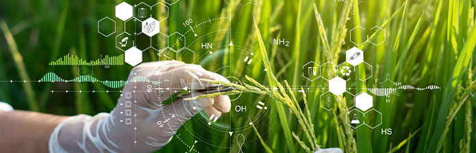 Quy Tắc Bón Phân "5 Đúng 1 Cân Đối" Đạt Hiệu Quả Cao