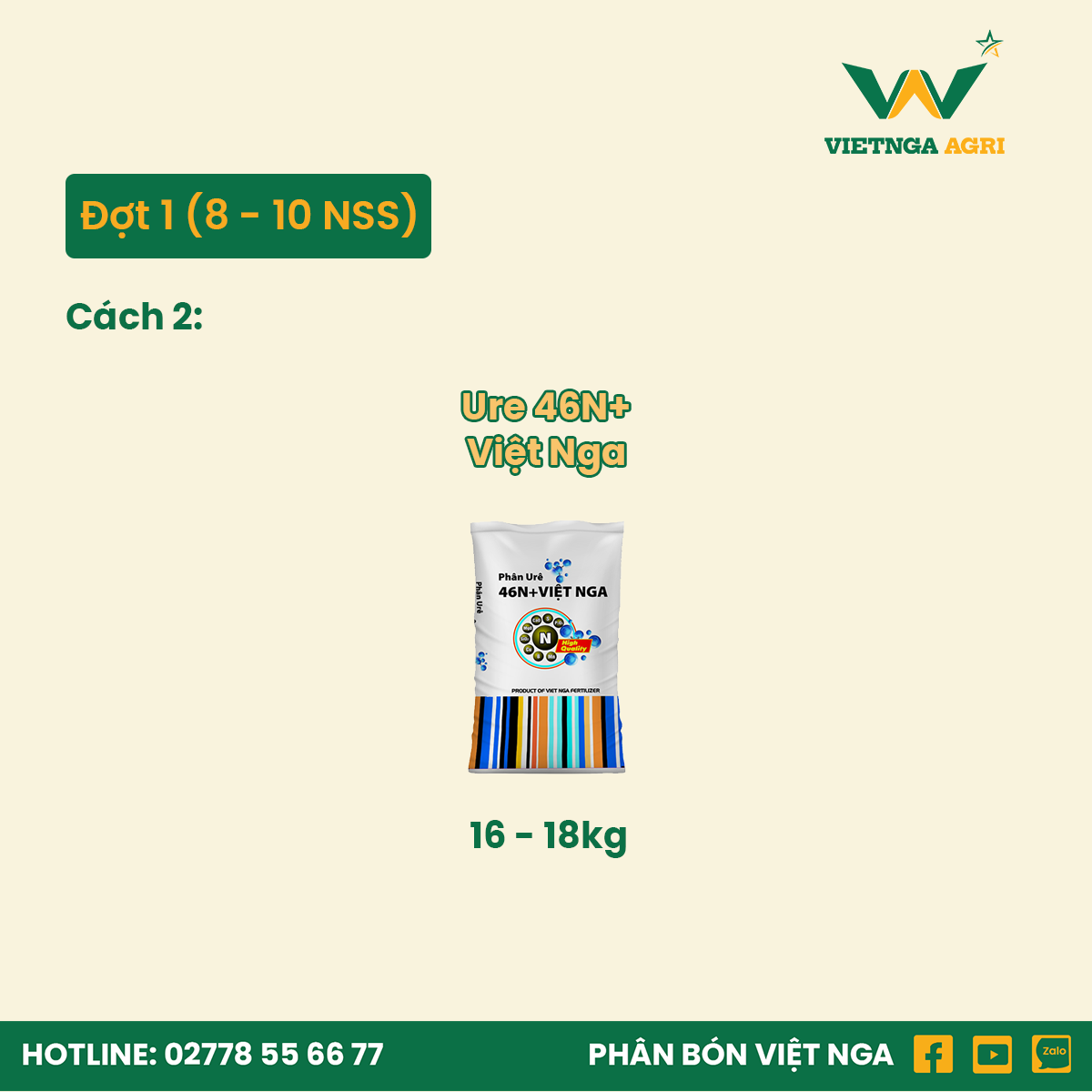 cách 2 bón phân đơn đợt 1