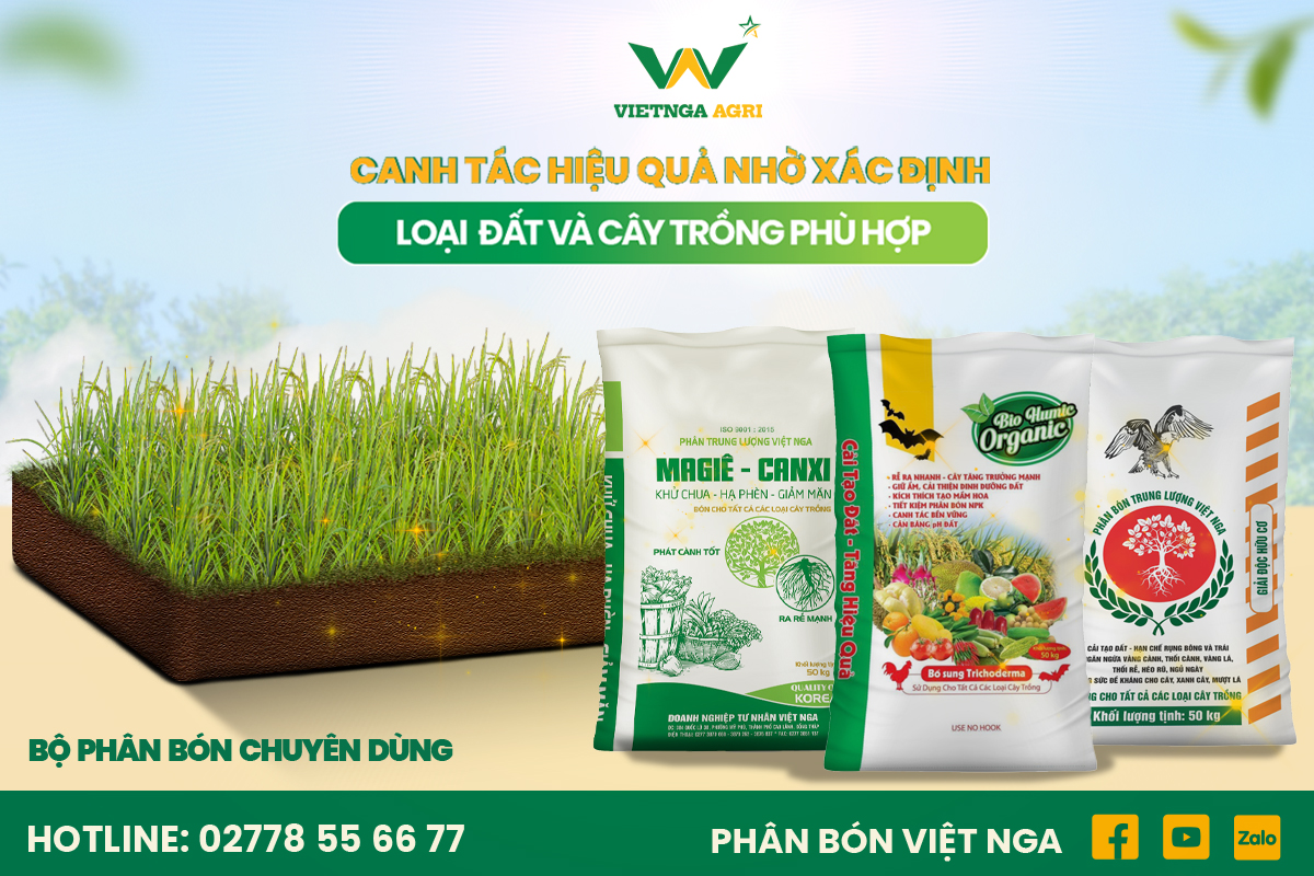Canh Tác Hiệu Quả Nhờ Xác Định Loại Đất Và Cây Trồng Phù Hợp