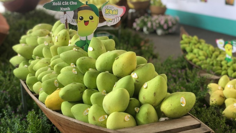 lễ hội xoài 2023