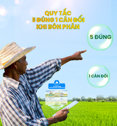 quy tắc 5 đúng 1 cân đối Việt Nga