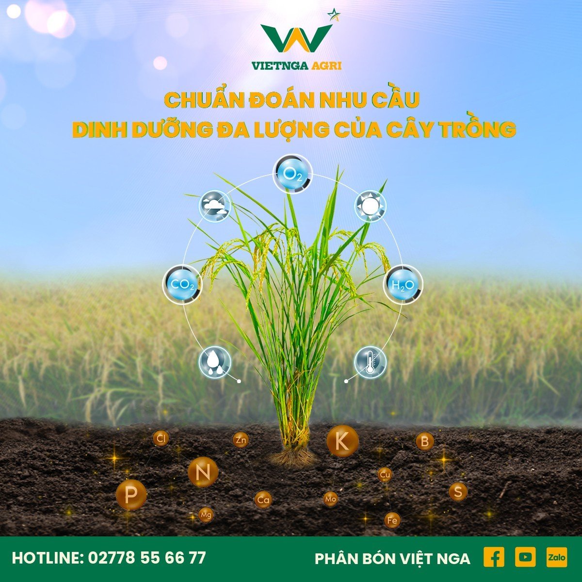 nhu cầu dinh dưỡng đa lượng