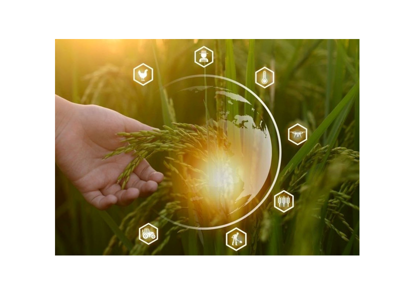 giới thiệu phân bón việt nga