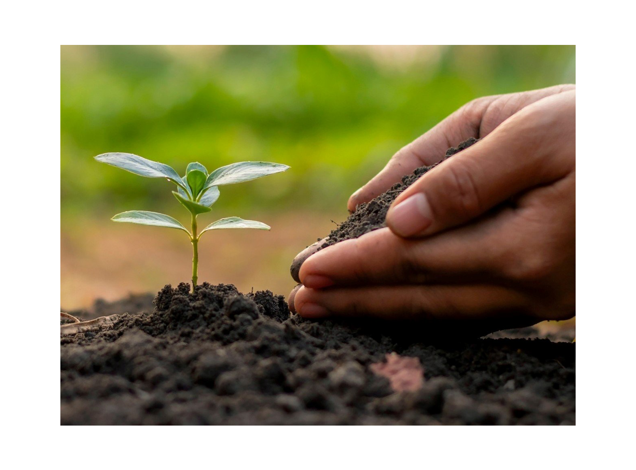 giới thiệu phân bón việt nga