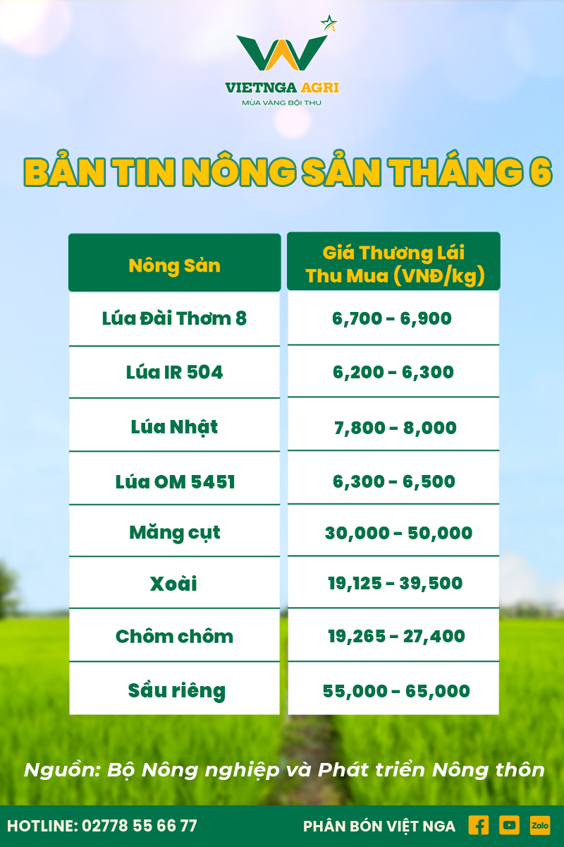 bảng giá nông sản tháng 6
