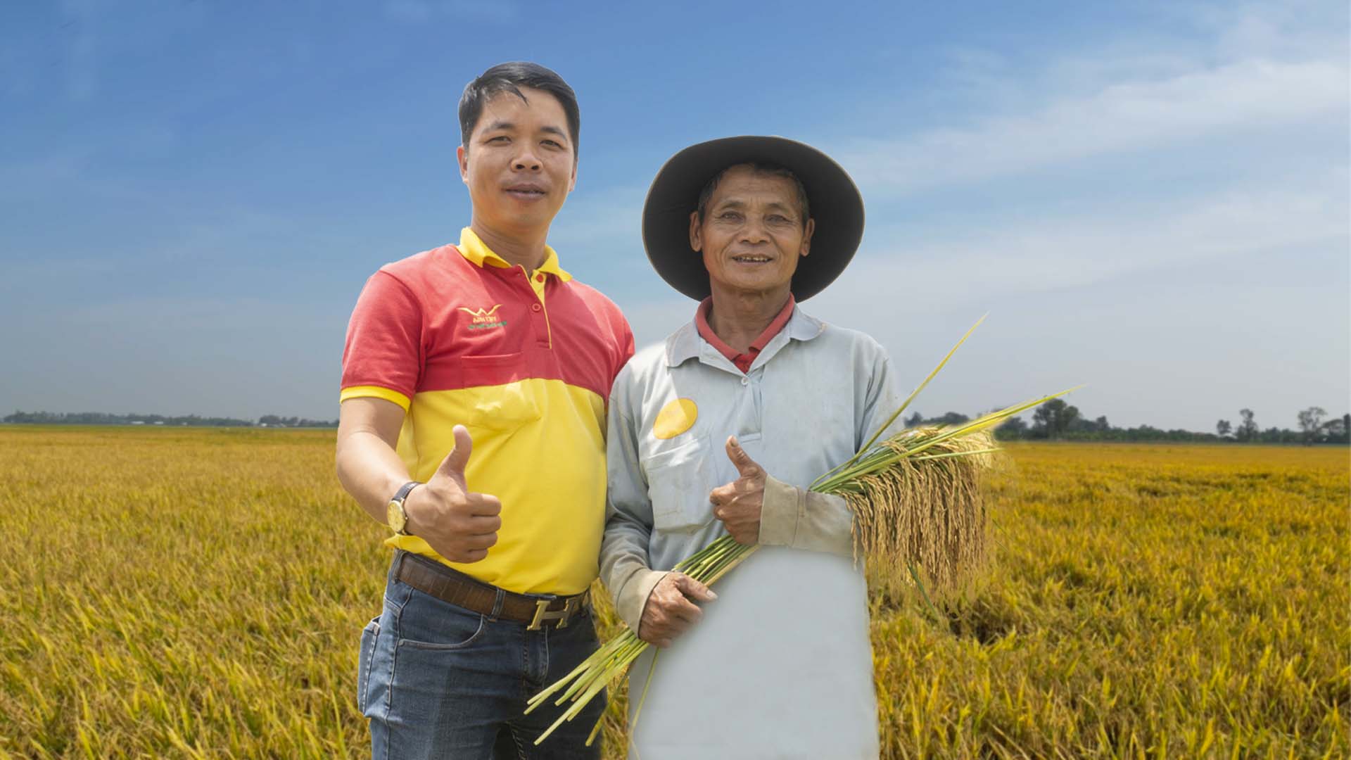 ruộng lúa bác Kim