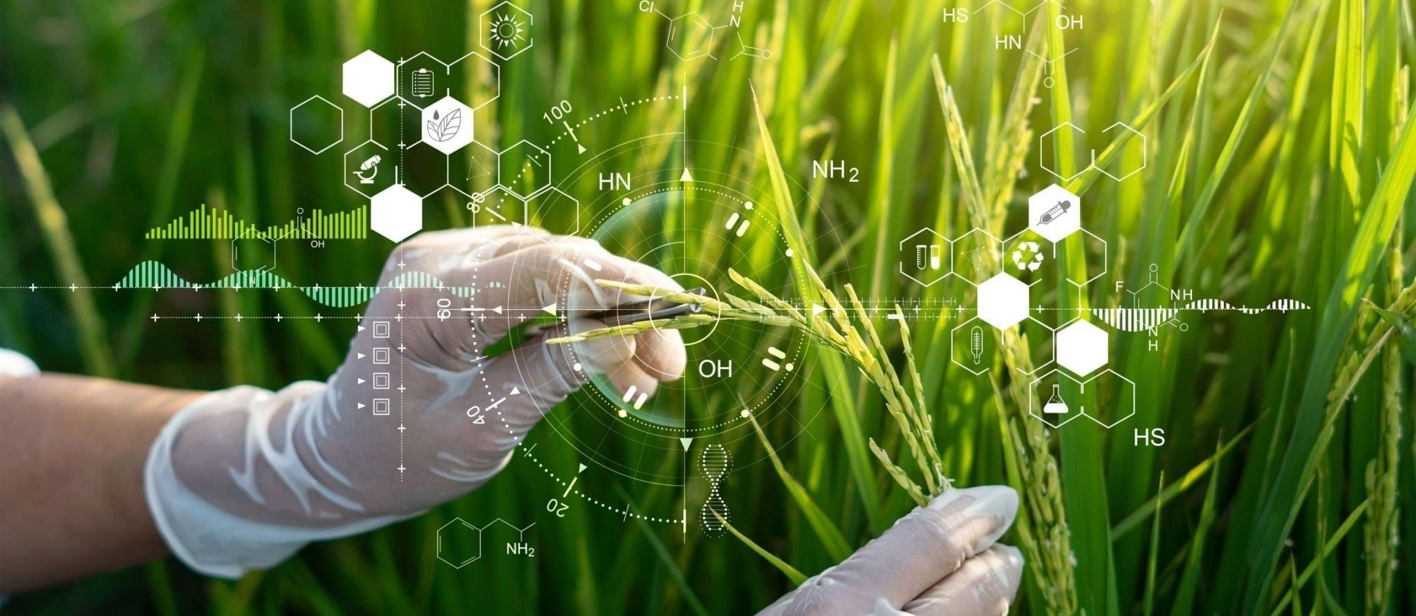 nghien-cuu-va-phat-trien