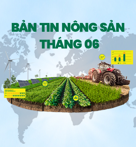 bản tin nông sản