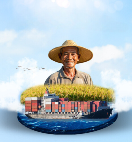 thị trường lúa gạo xuất khẩu