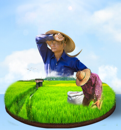 thị trường phân bón gặp khó khăn