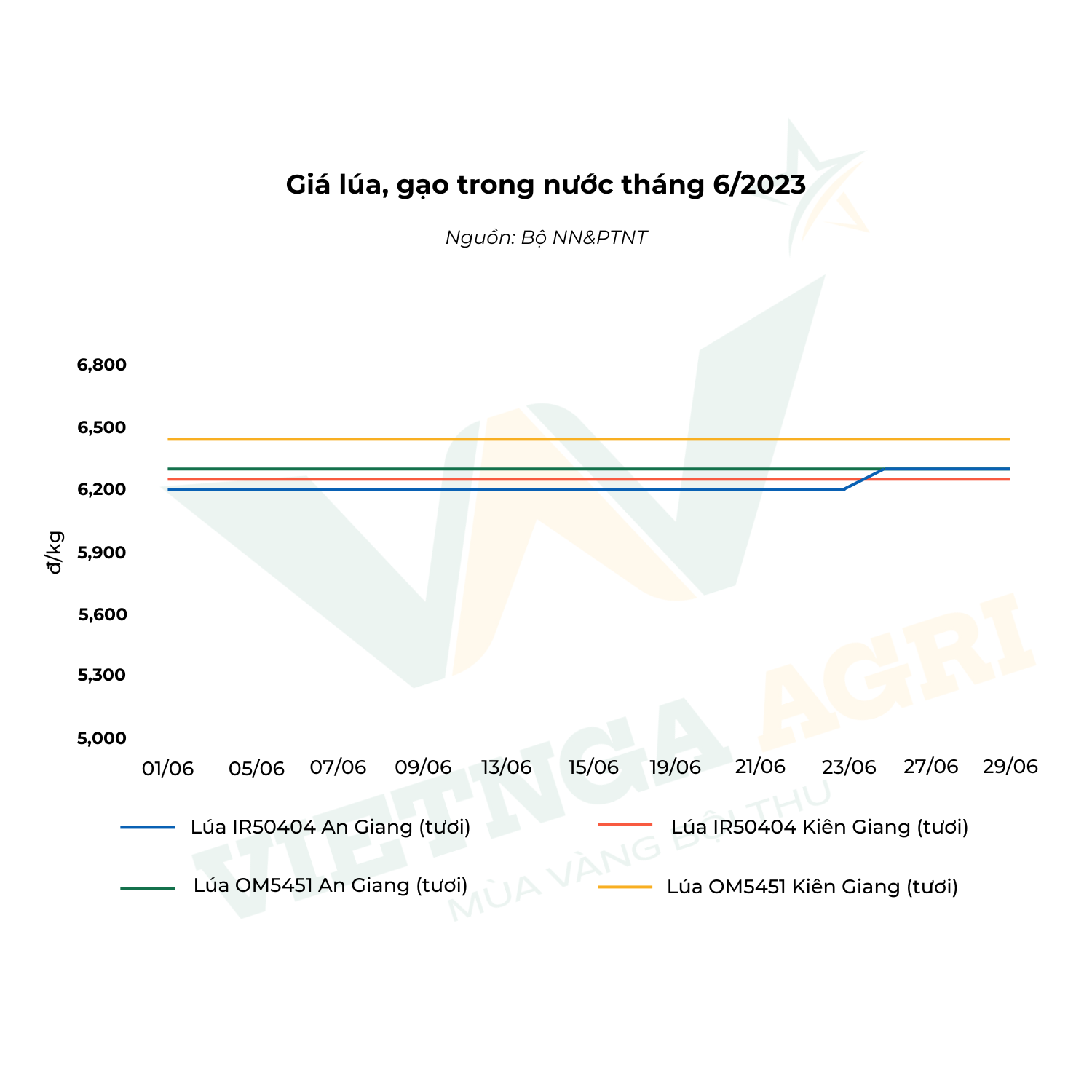 biểu đồ giá lúa tháng 6/2023