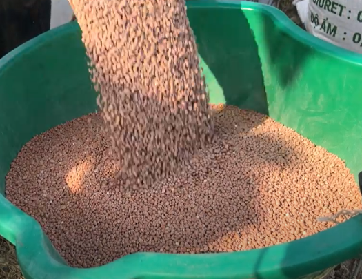 phân npk 1 màu chuyên dùng