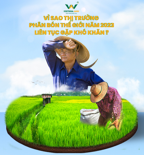 thị trường phân bón khủng hoảng