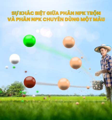 phân npk chuyên dùng một màu