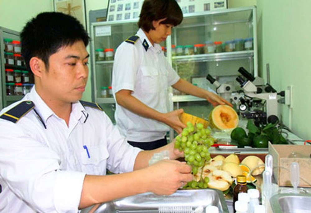 kiểm dịch thực vật