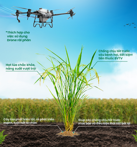 phân npk một màu