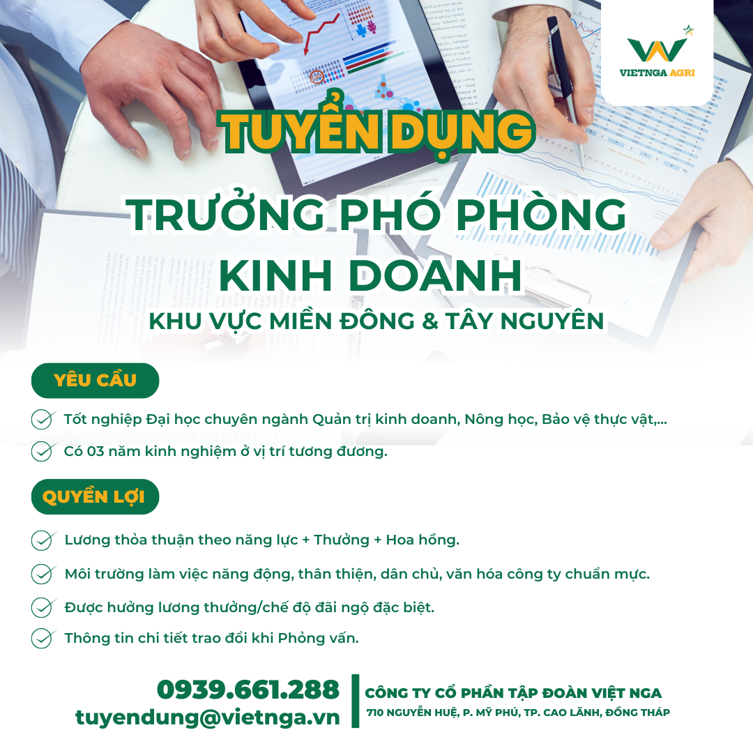 trưởng phó phòng kinh doanh
