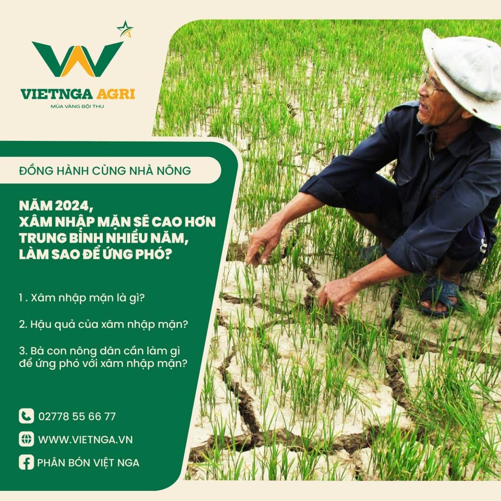 Xâm nhập mặn là gì?