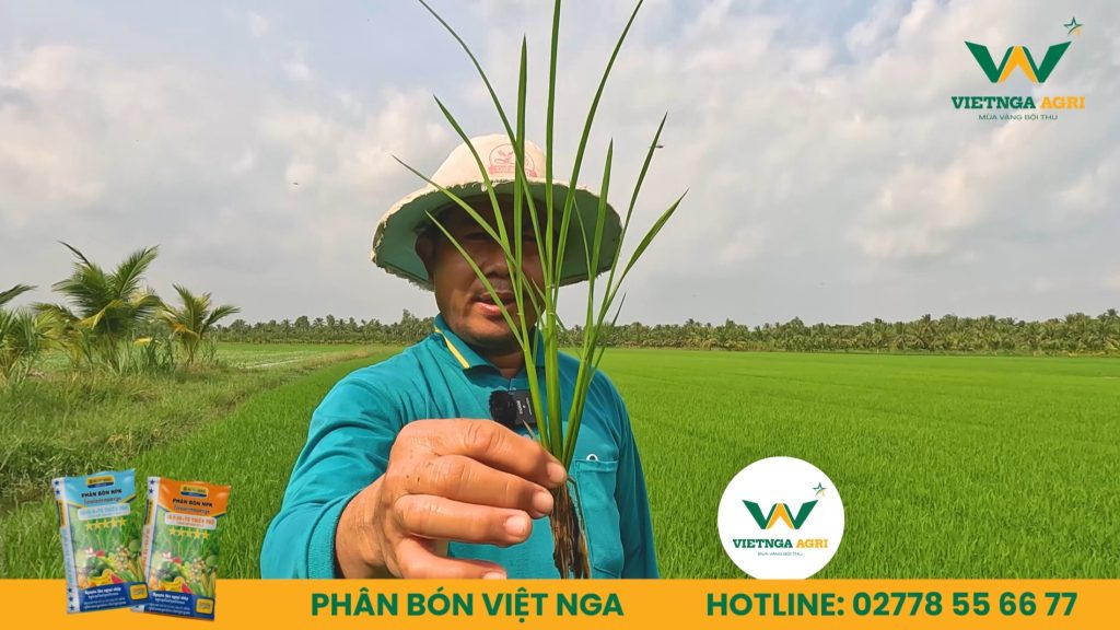 Mô hình trình diễn của anh Hoàng