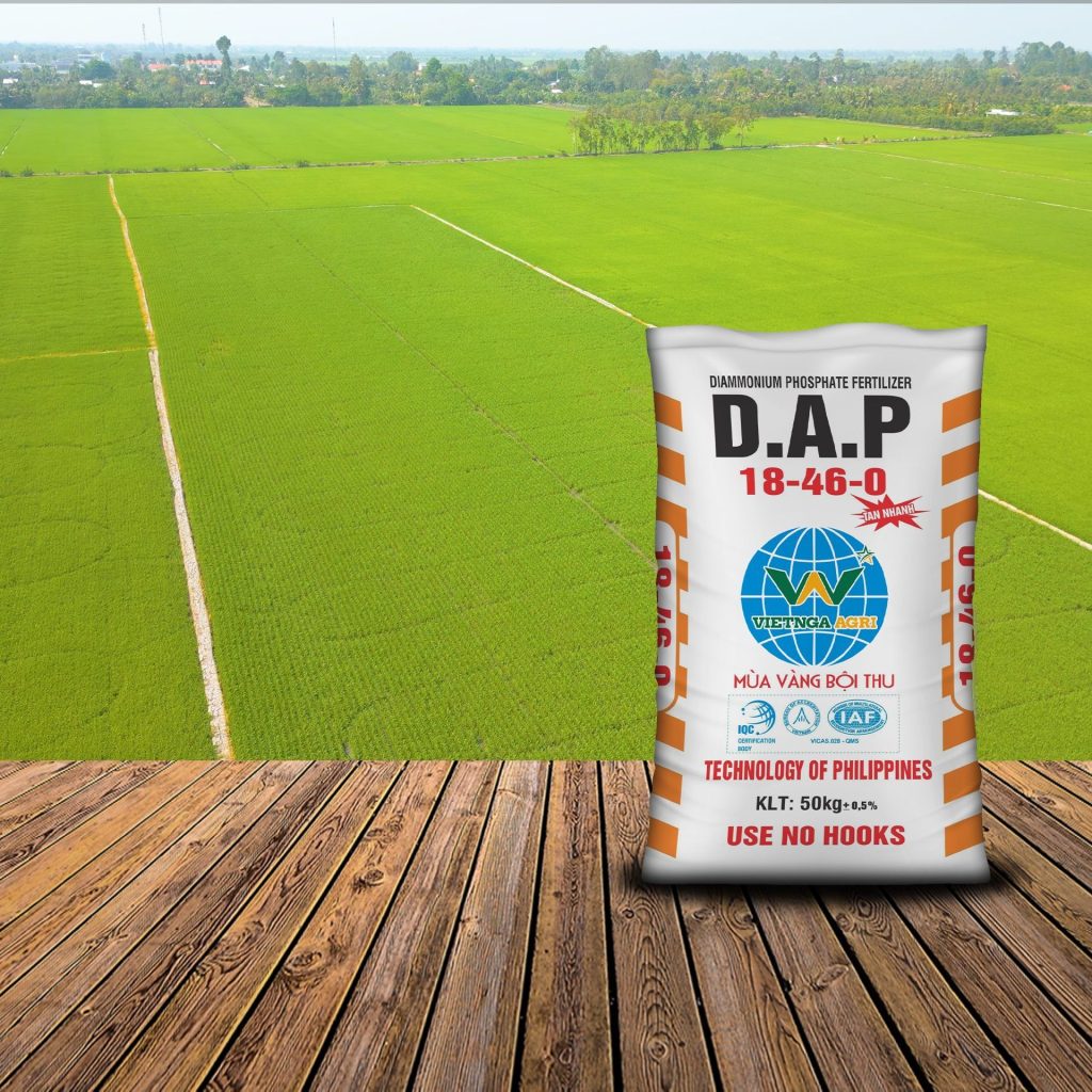 Bón phân DAP cho cây lúa