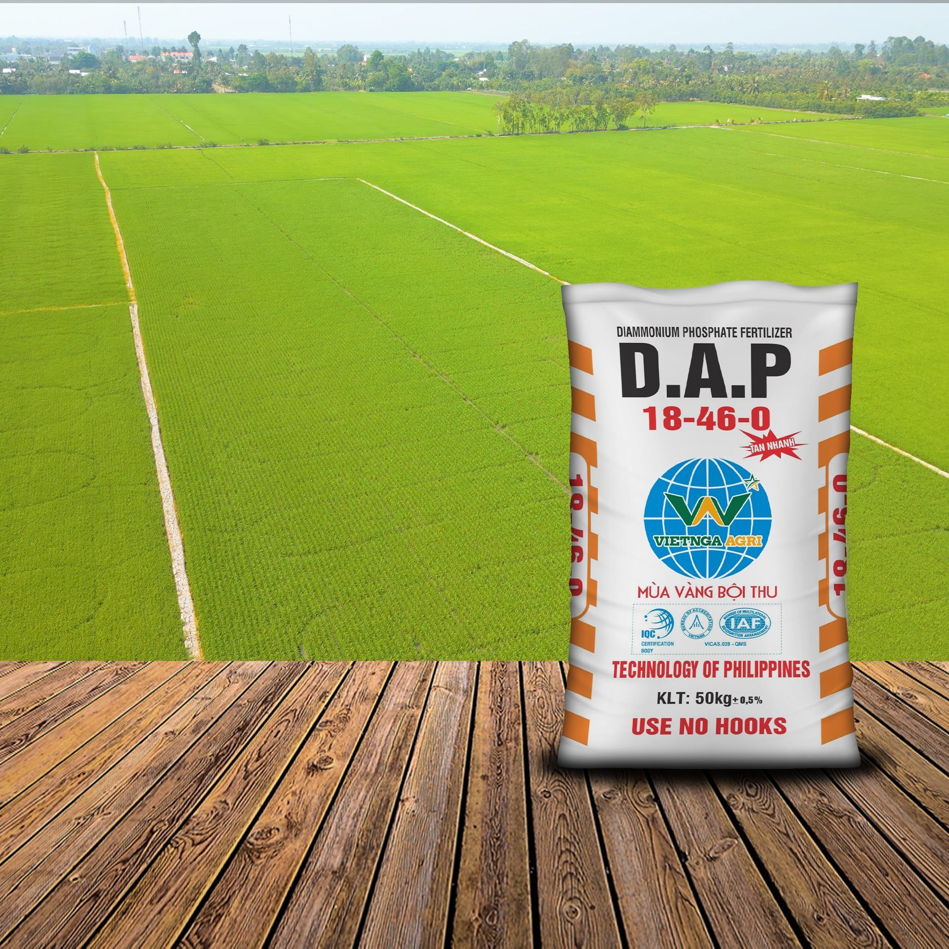 Bón phân DAP cho cây lúa