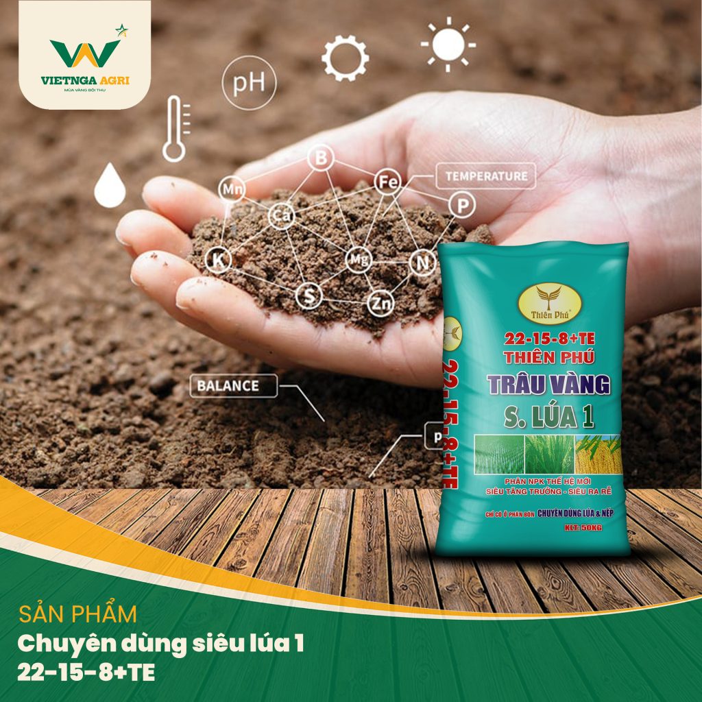 Phân bón chuyên dùng cho lúa NPK 22-15-8+TE giúp tăng khả năng kháng sâu bệnh, giúp cây khỏe mạnh