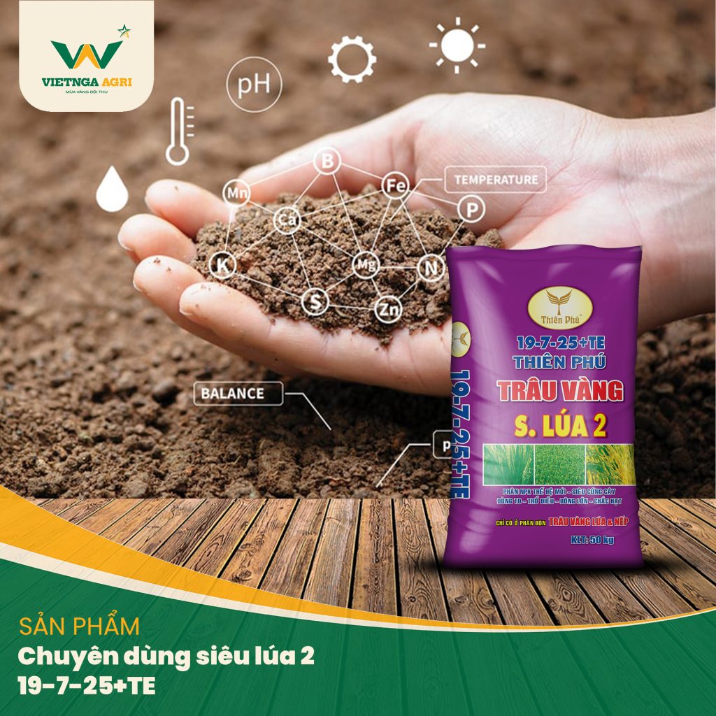 Phân bón chuyên dùng cho lúa NPK 19-7-25+TE giúp cung cấp dinh dưỡng cân đối, nâng cao độ phì nhiêu của đất