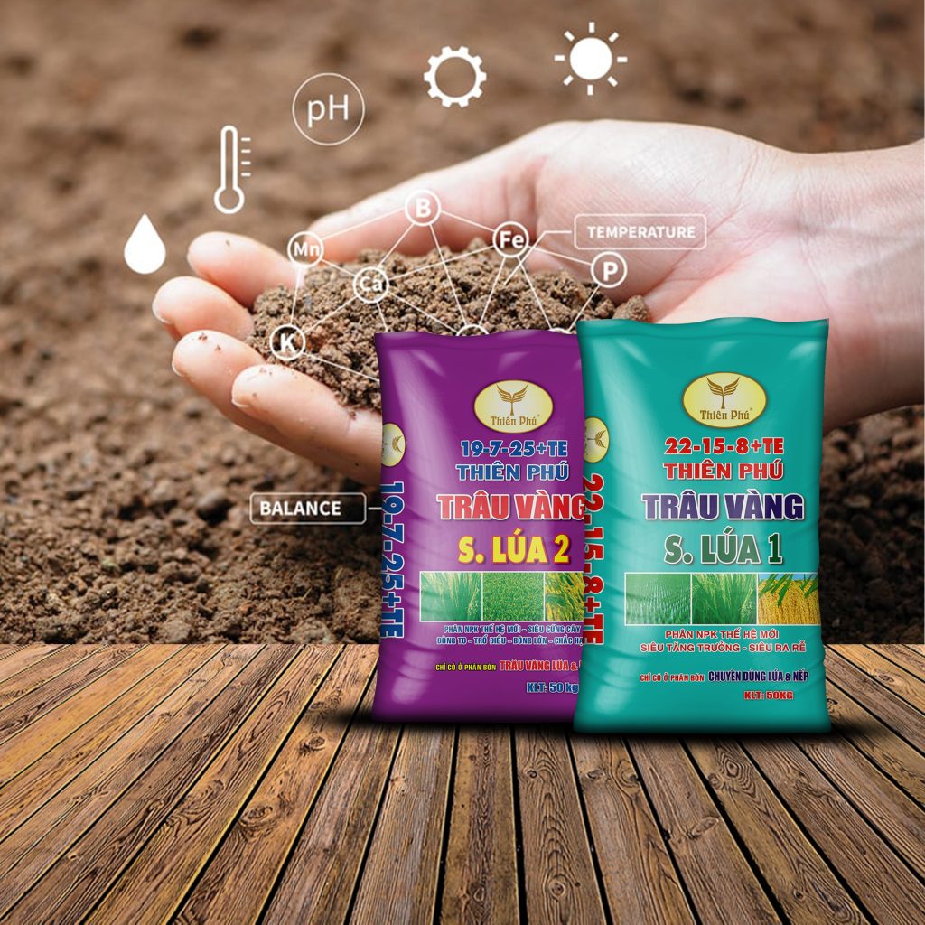 cặp đôi phân bón chuyên dùng cho cây lúa
