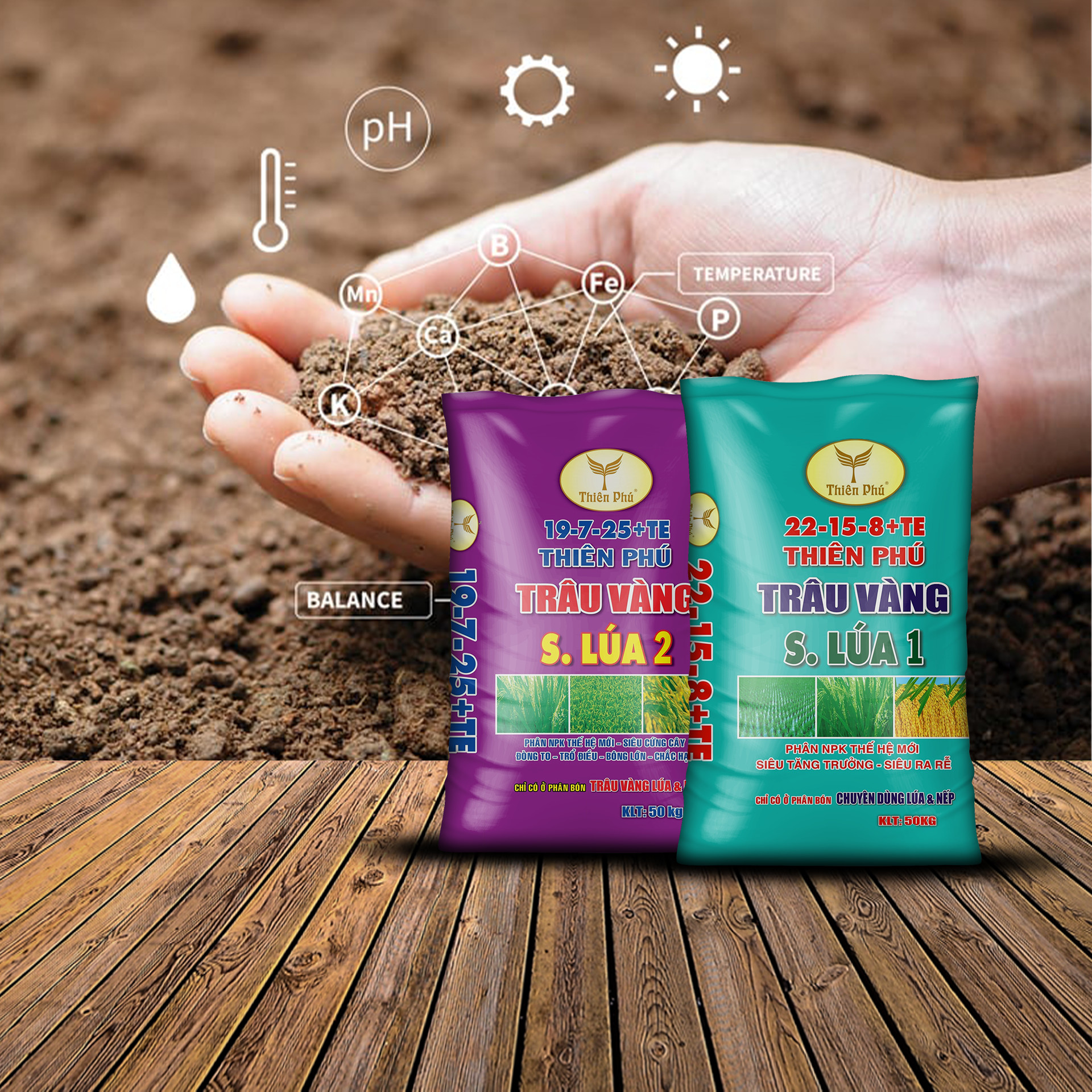 cặp đôi phân bón chuyên dùng cho cây lúa