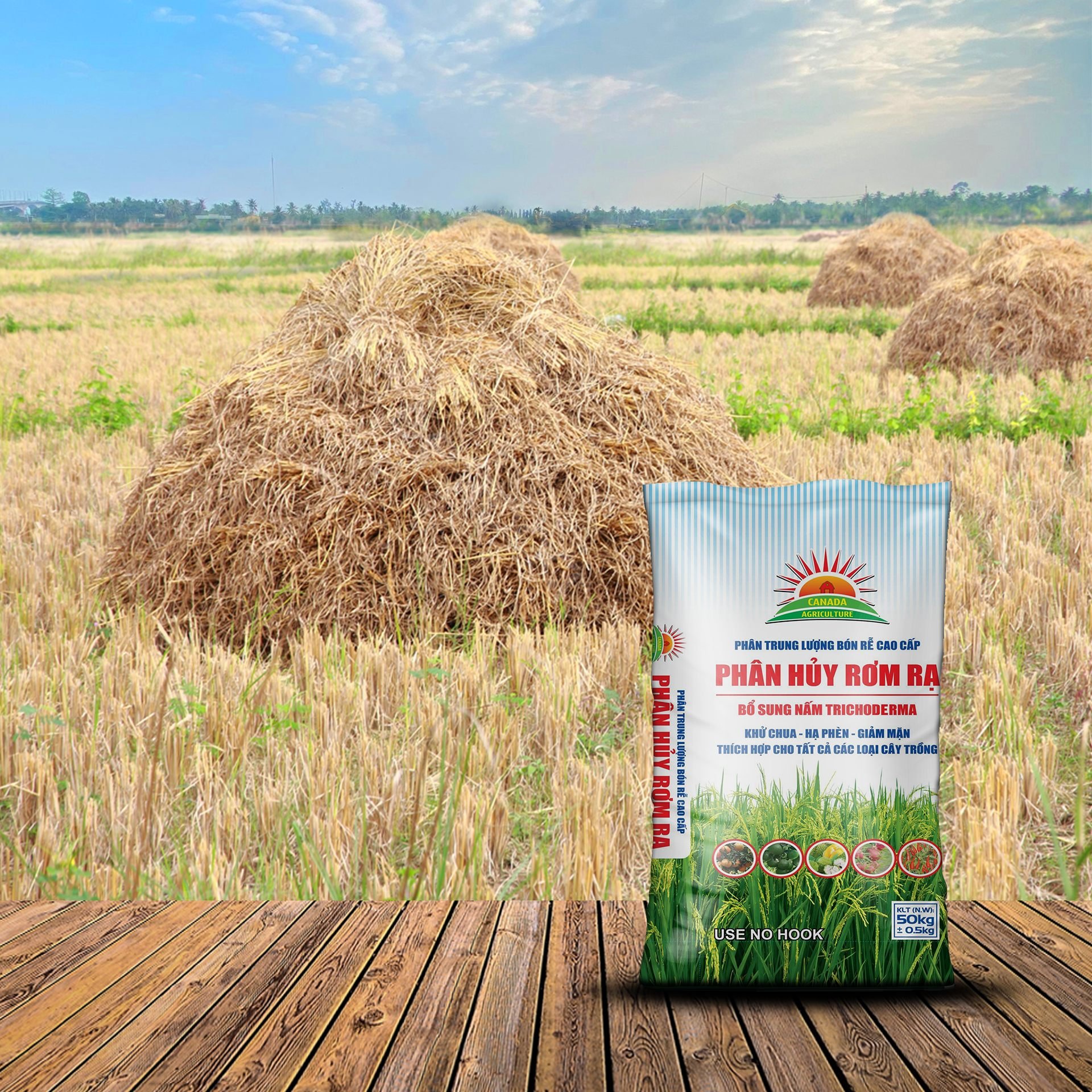 kỹ thuật xử lý rơm rạ