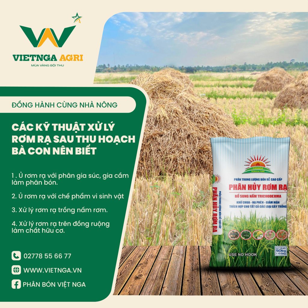 xử lý rơm rạ đúng cách