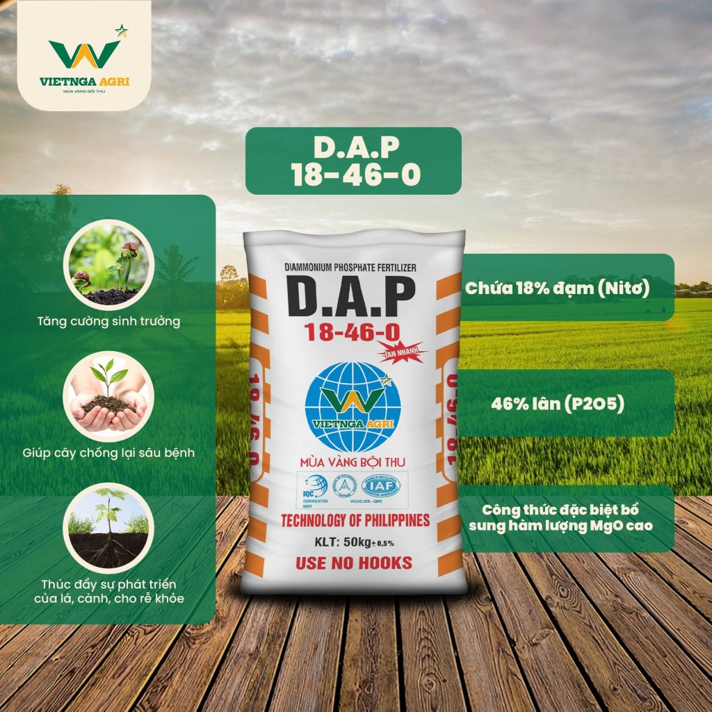 Phân DAP 18-46 cho cây lúa vụ hè thu