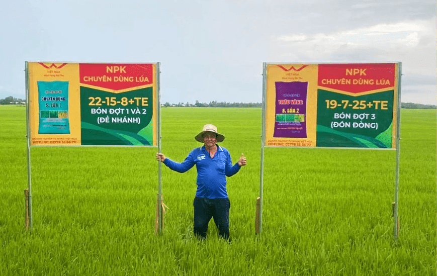 Mô hình trình diễn phân bón chuyên dùng cho lúa hè thu năm 2022