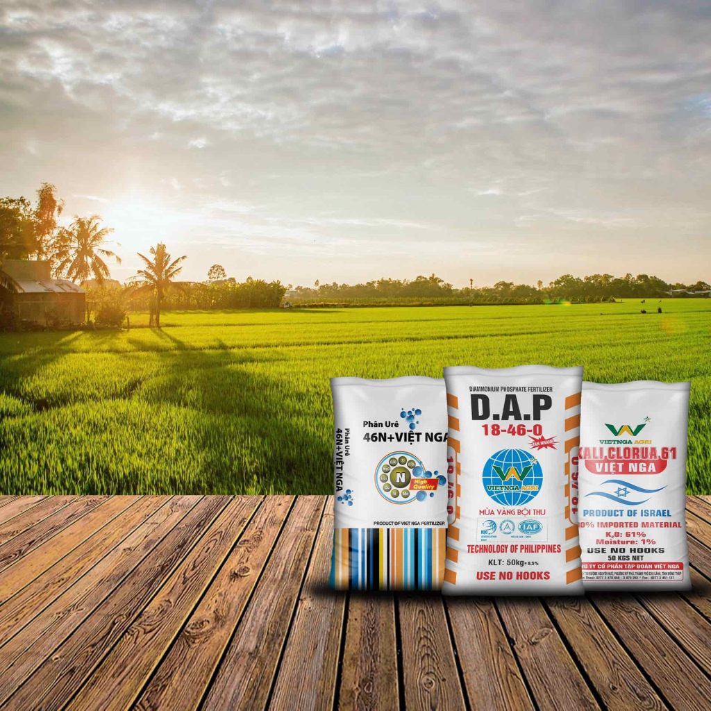 Bón phân cho lúa vụ hè thu trong tình hình nắng nóng kéo dài