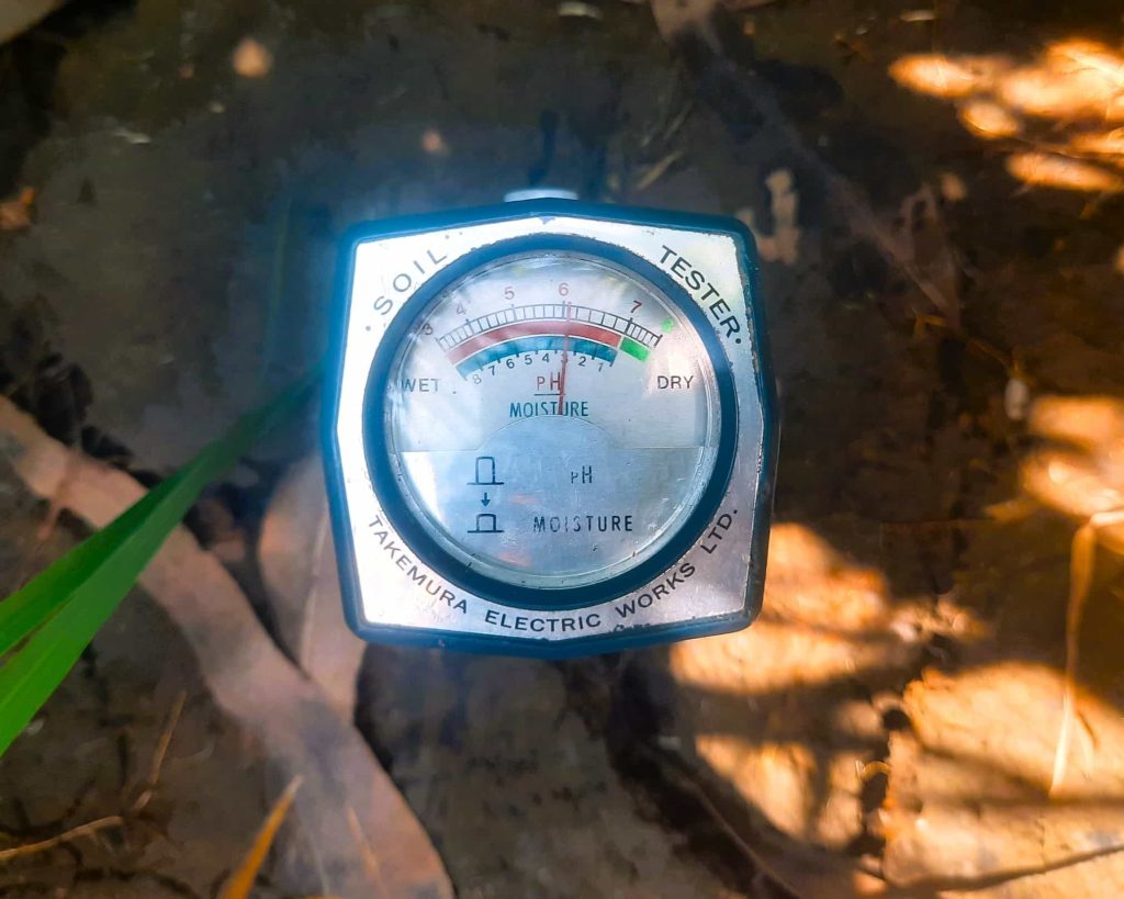 Độ pH lý tưởng cho việt canh tác lúa