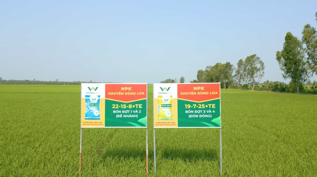 Mô hình trình diễn phân bón chuyên dùng cho lúa hè thu