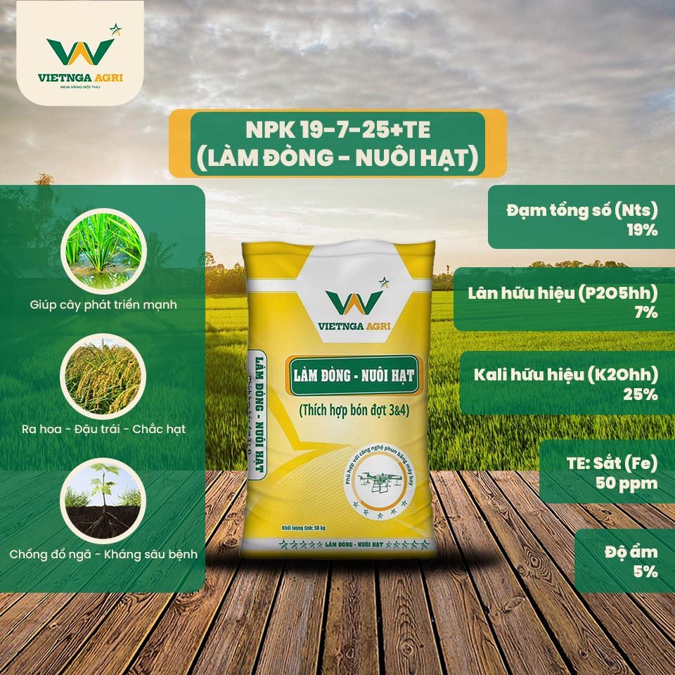 Phân bón chuyên dùng cho lúa NPK 19-7-25 + TE