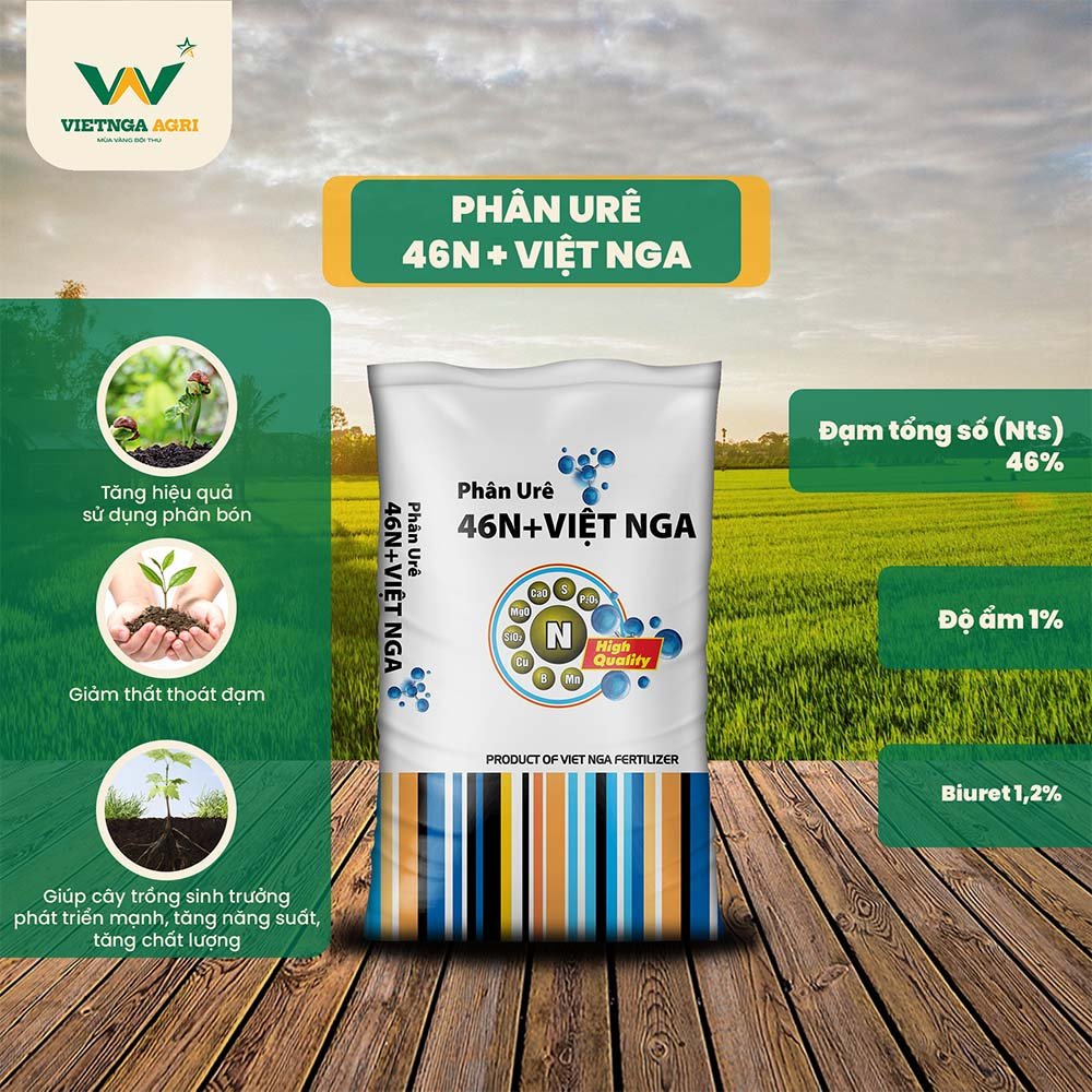 Phân bón Ure 46N+ Việt Nga giảm thất thoát đạm, tăng hiệu quả sử dụng phân bón
