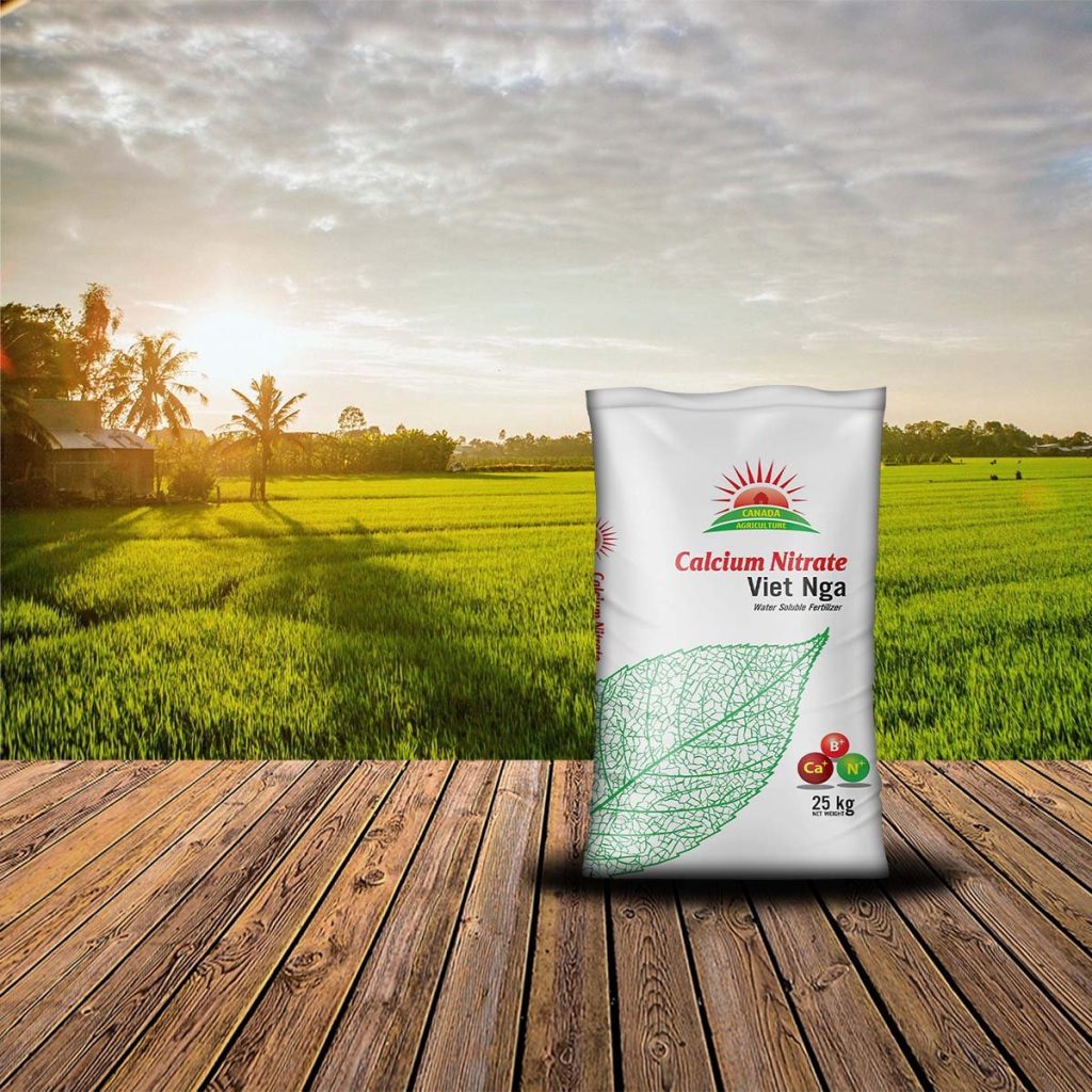 phân canxi nitrate việt nga
